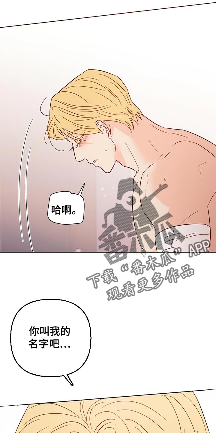 第110章：【第三季】美丽也有上限0