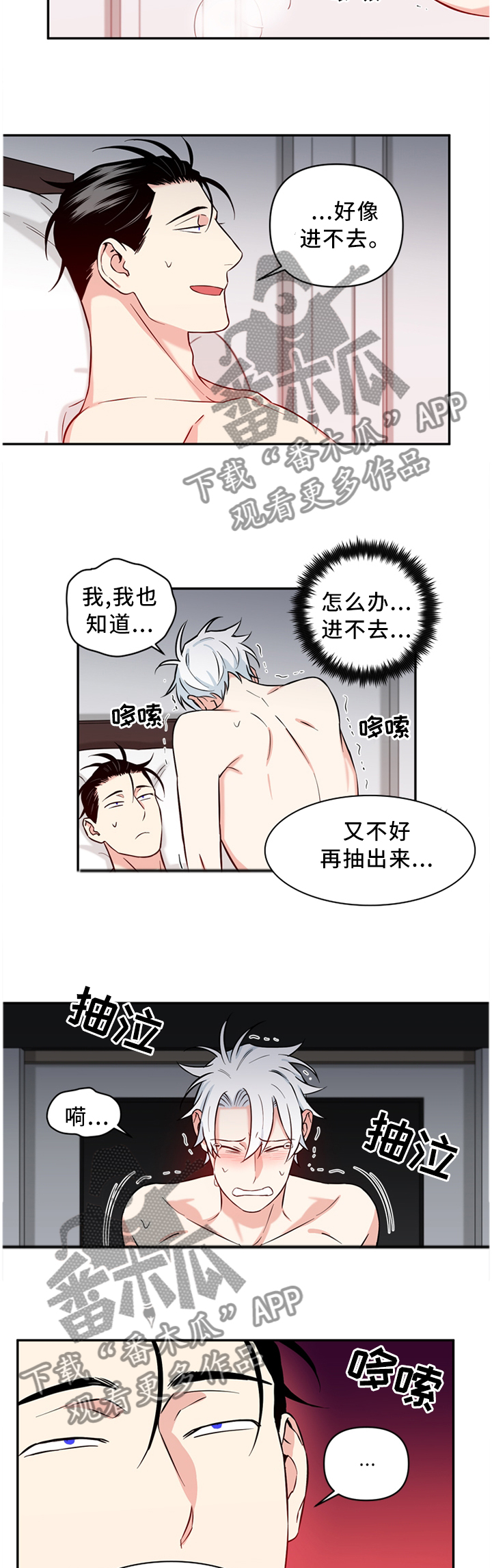 第52章：诚实3