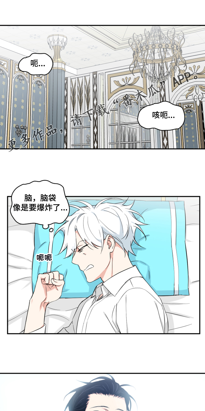 第127章：【番外】什么感情？0
