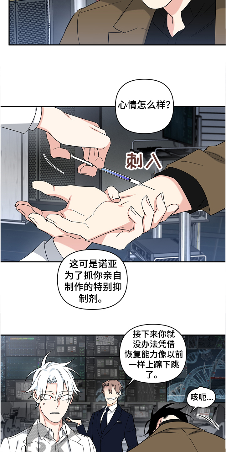 第106章：【后记】伤害试验2