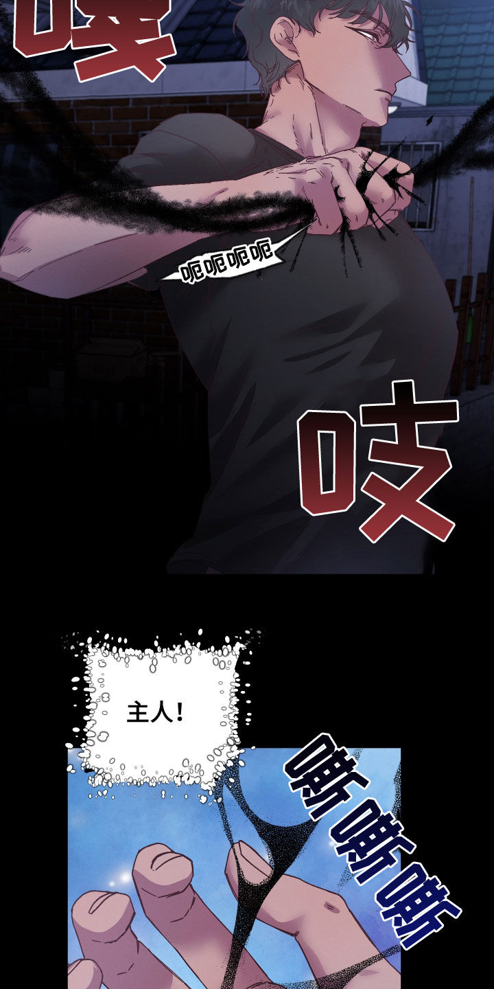 第27章：看你可爱2