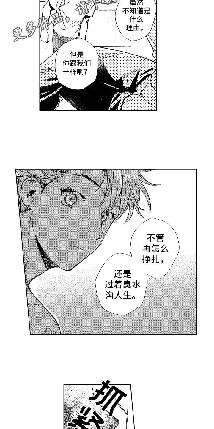 第15章：不择手段3