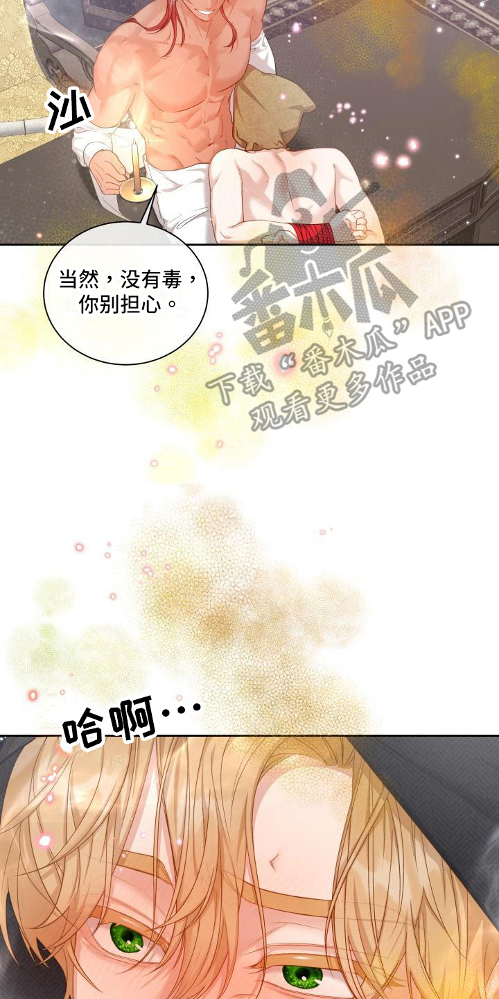 第27章：三个阿尔法：一起1