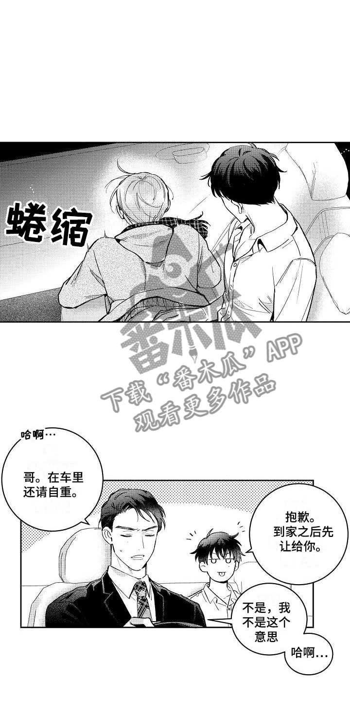 第9章：两个哥哥：喜欢哥哥们2