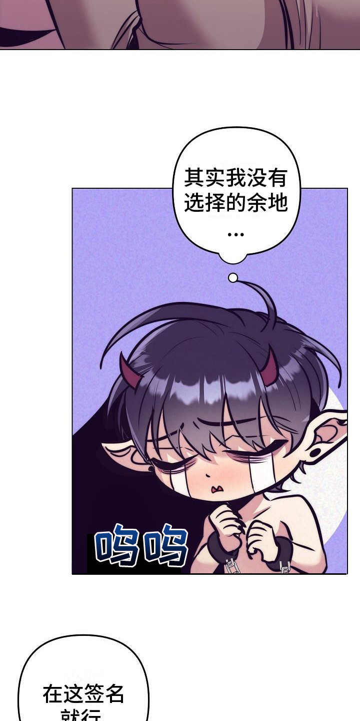 第38章：天使契约：签署契约1
