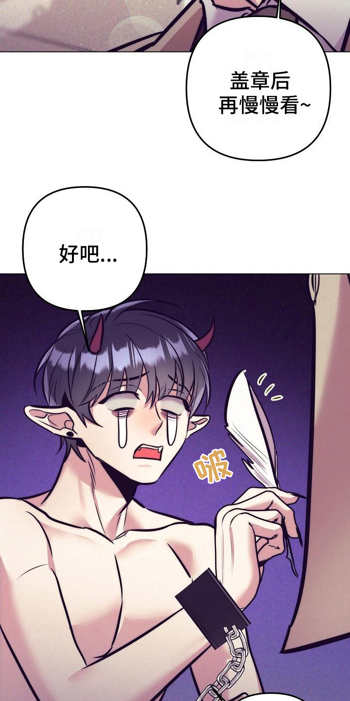 第38章：天使契约：签署契约4