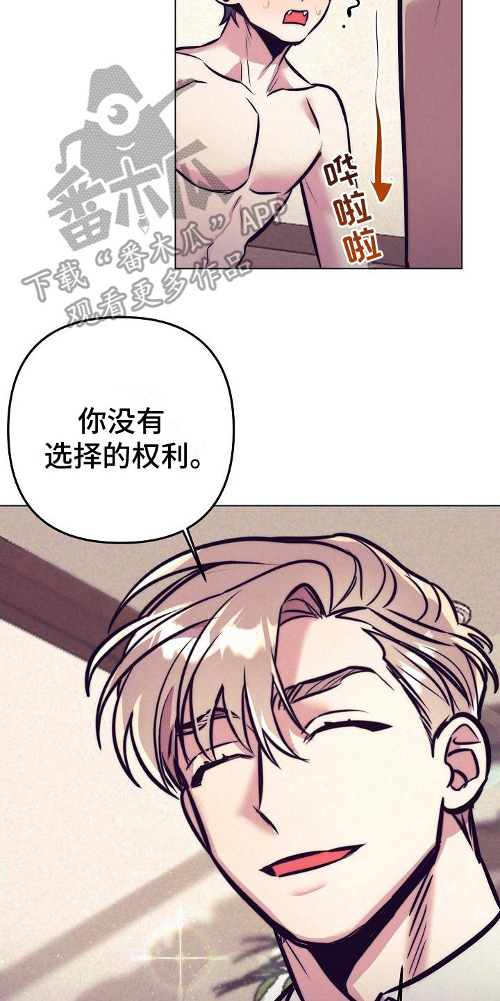 第38章：天使契约：签署契约3