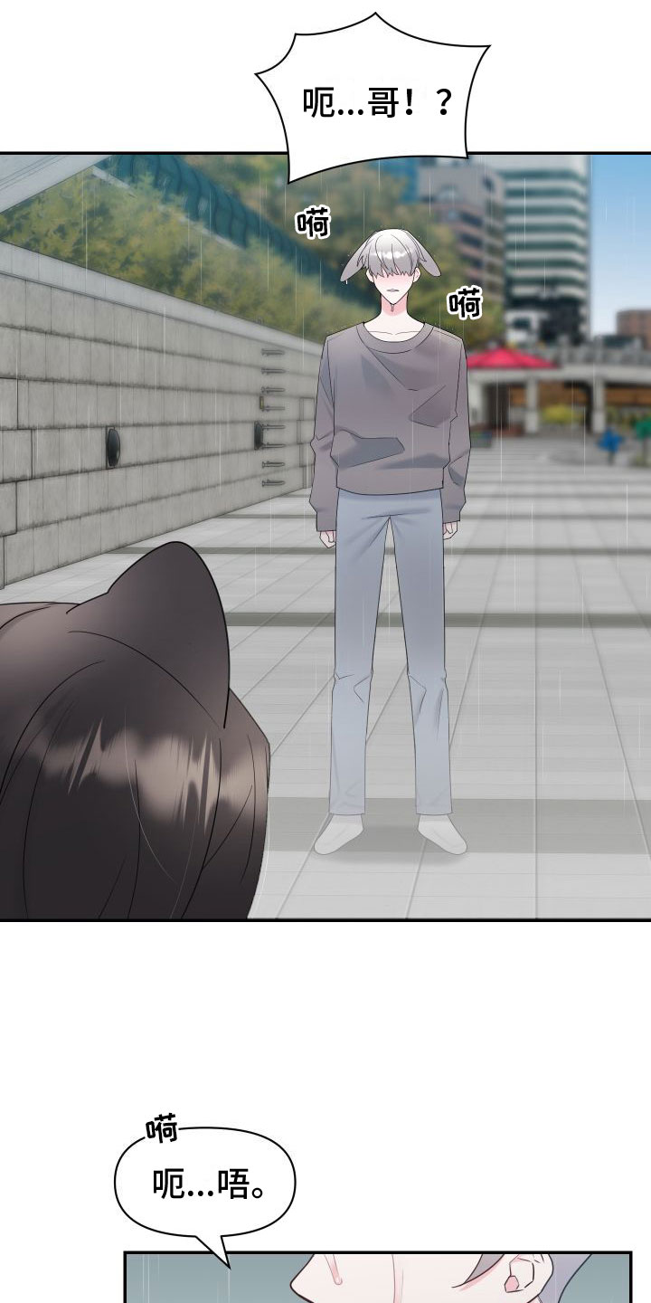 第3章：雨中倾述3