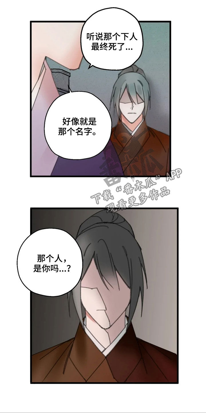 第41章：行动2