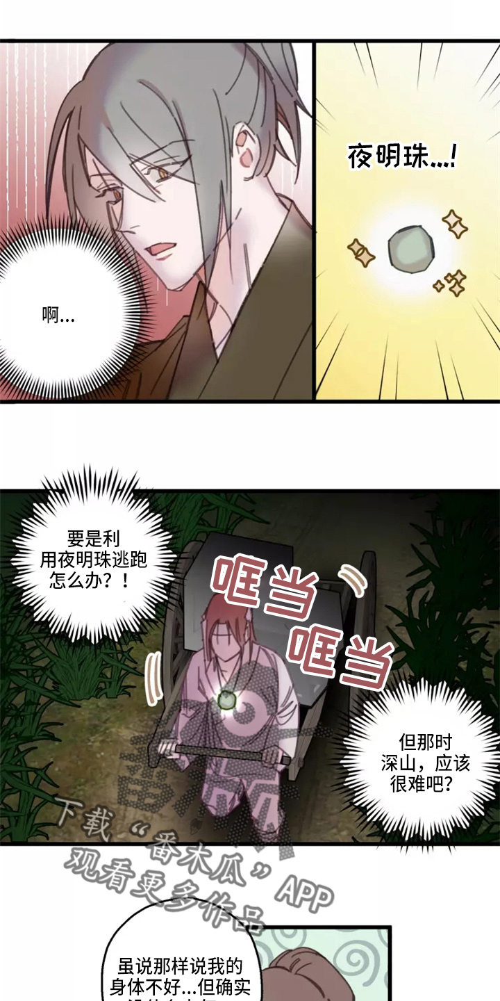 第42章：夜明珠1