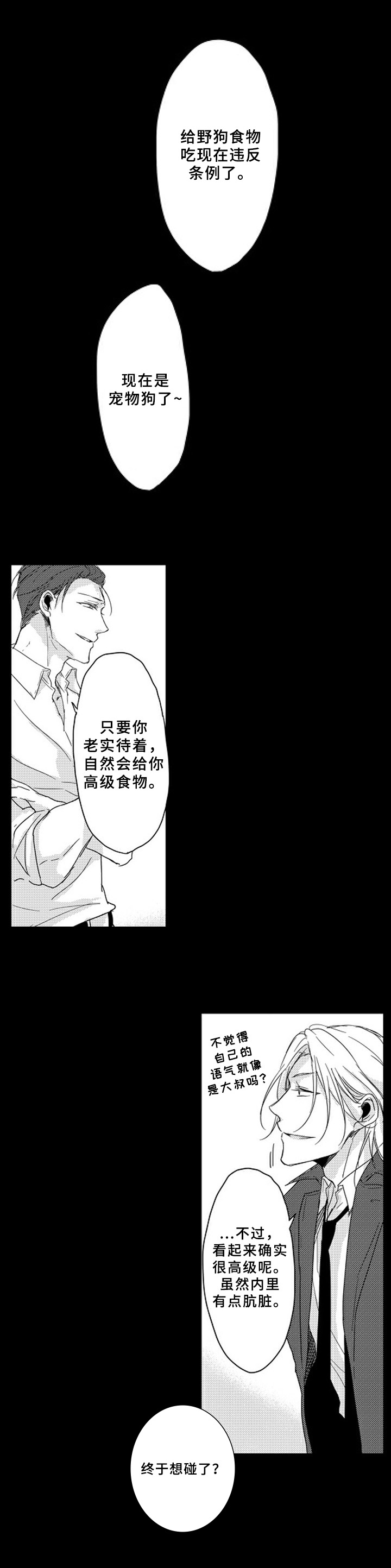 第11章：吸引3