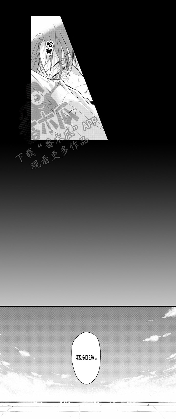 第12章：归属4