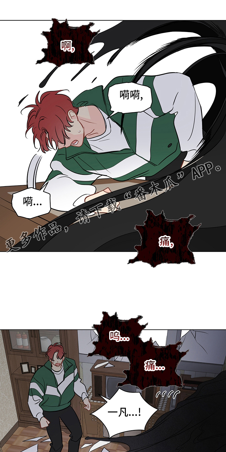 第93章：【第二季】照片0