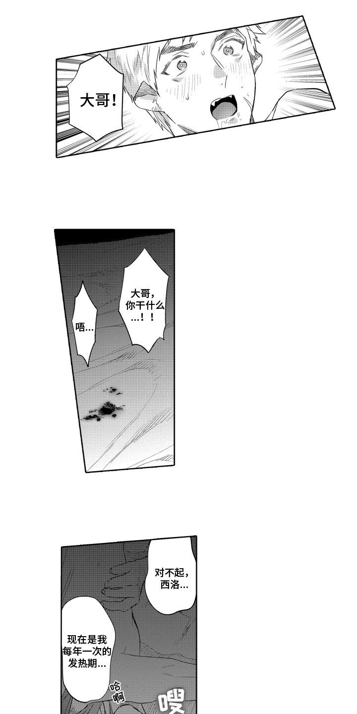 第20章：保护【完结】2