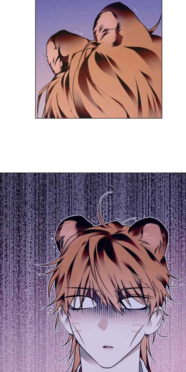 第35章：乱入的老虎：柿饼3