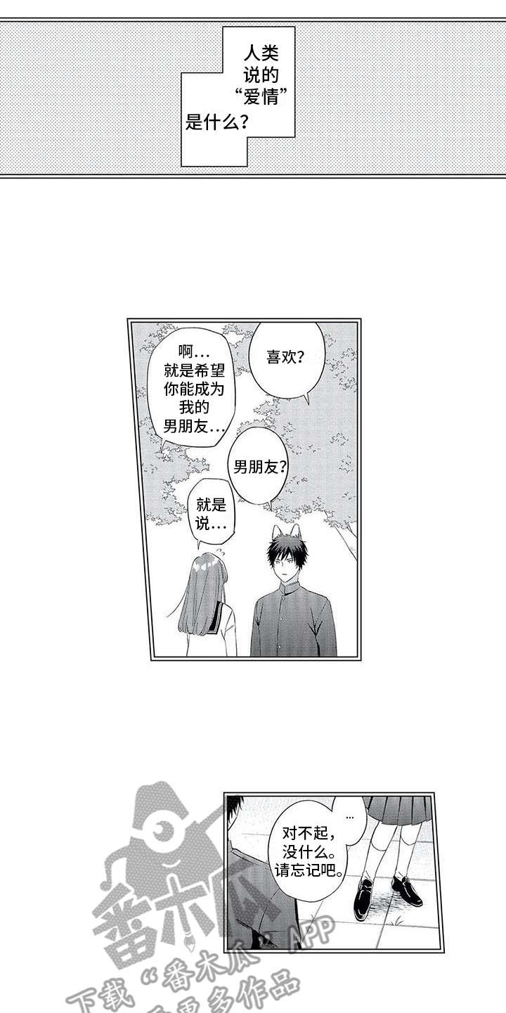 第7章：搞不懂4