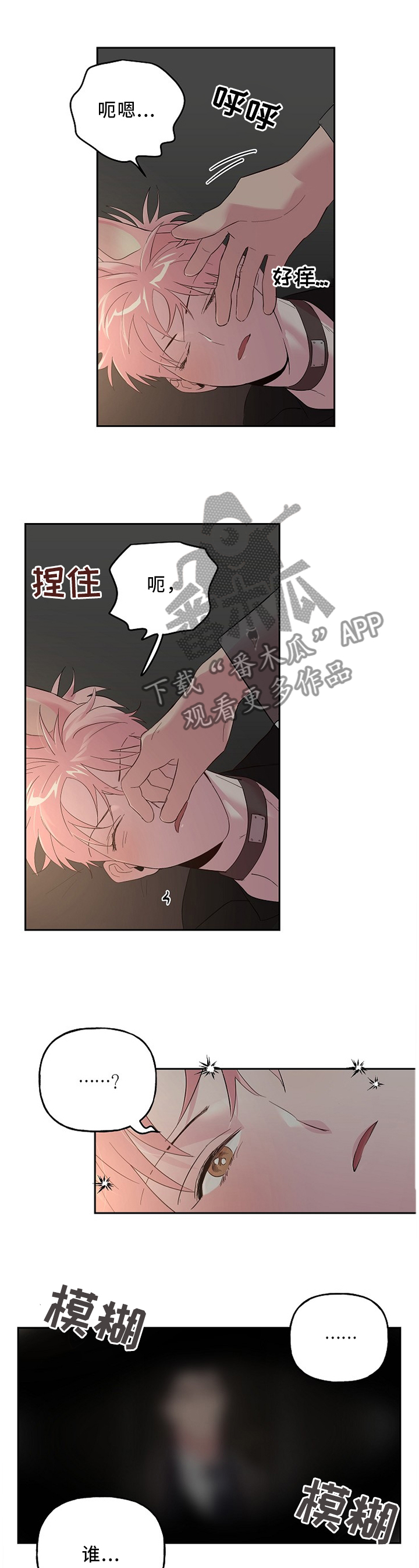 第51章：小礼物3