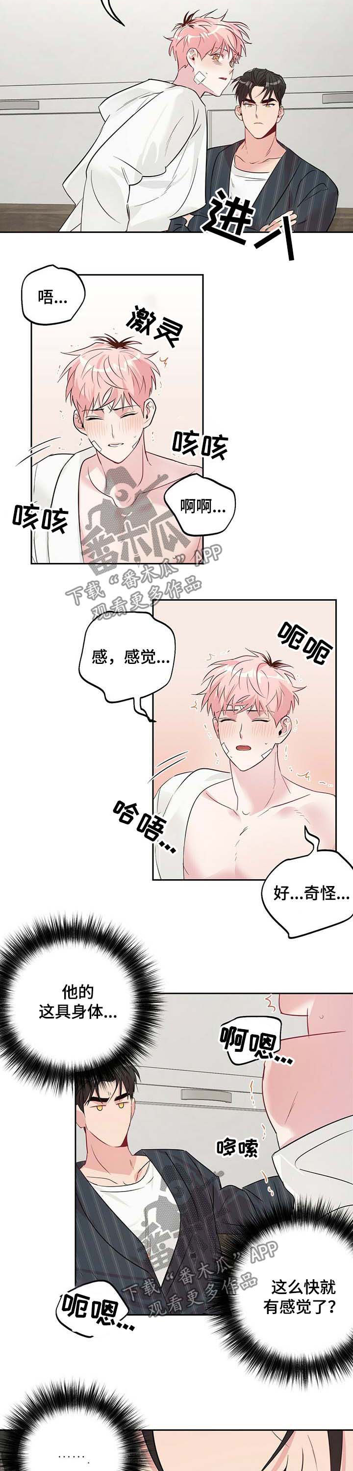 第28章：看着办4