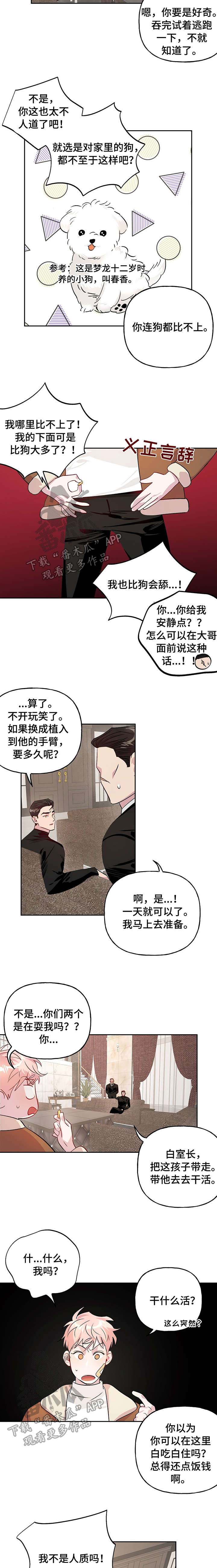 第17章：追踪器4