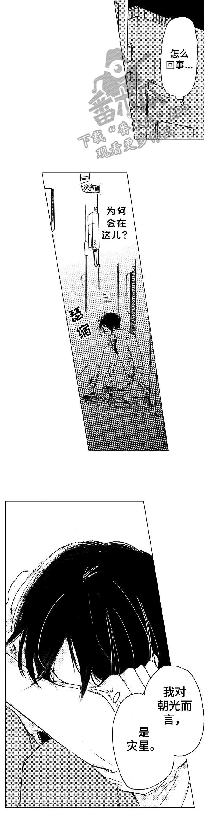 第14章： 替代品2