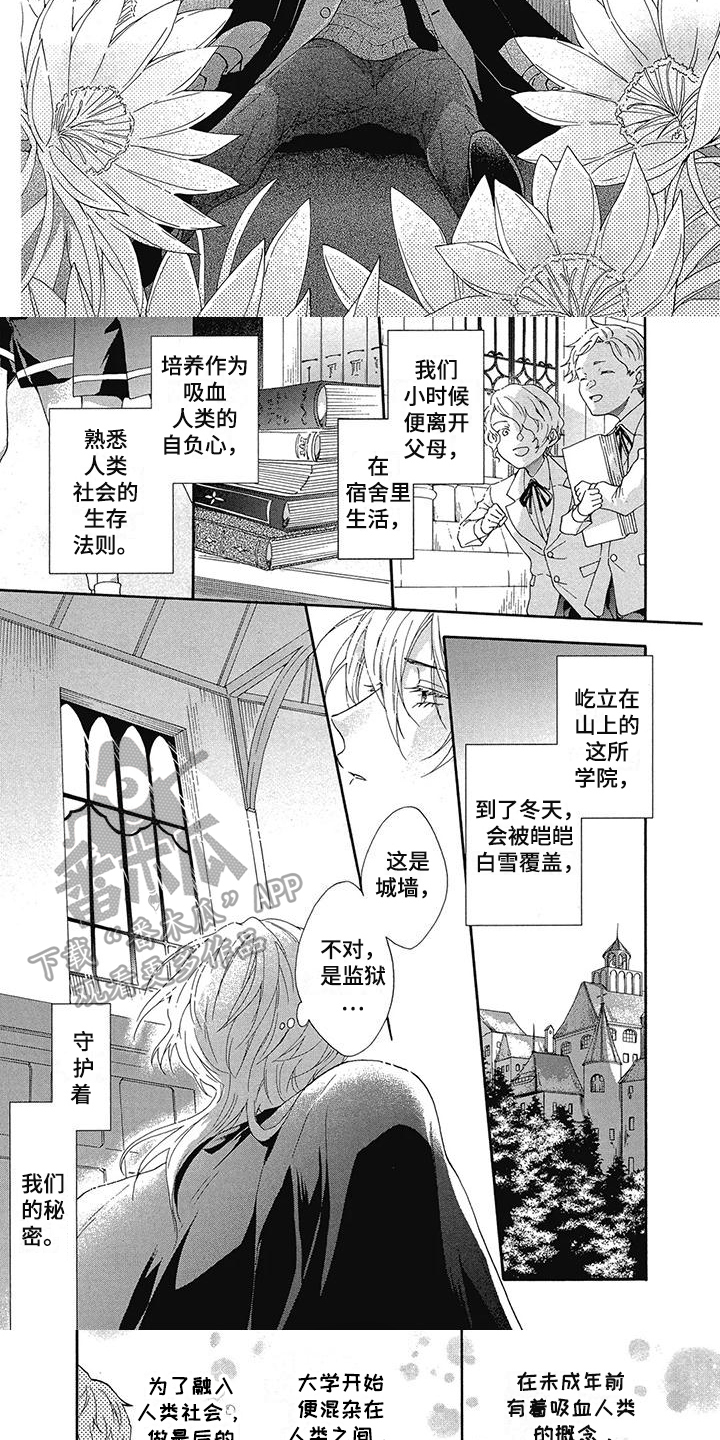 第21章：吸血学院4