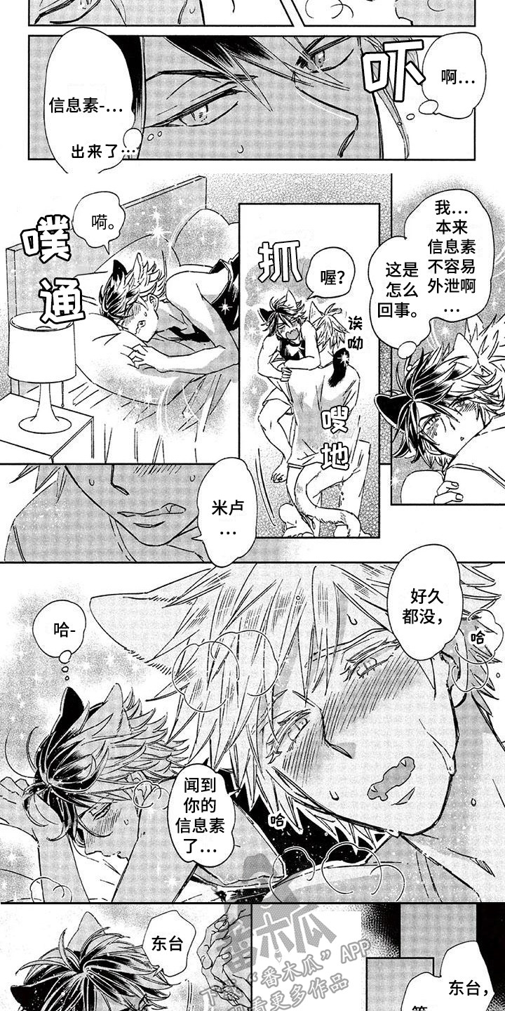 第26章：故事八：好闻的气味2