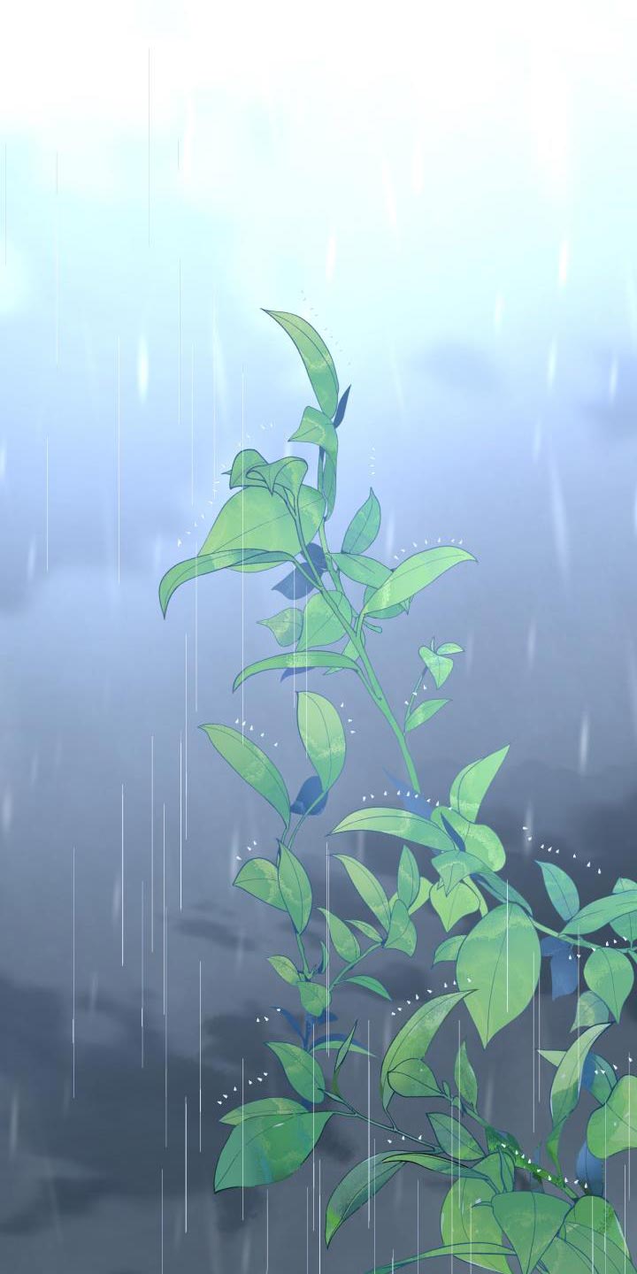 第55章：你别乱说！0