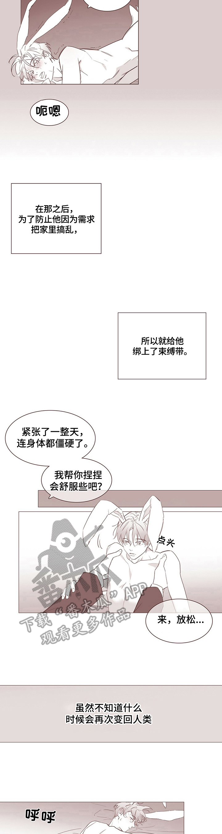 第13章：【番外】变成兔子3