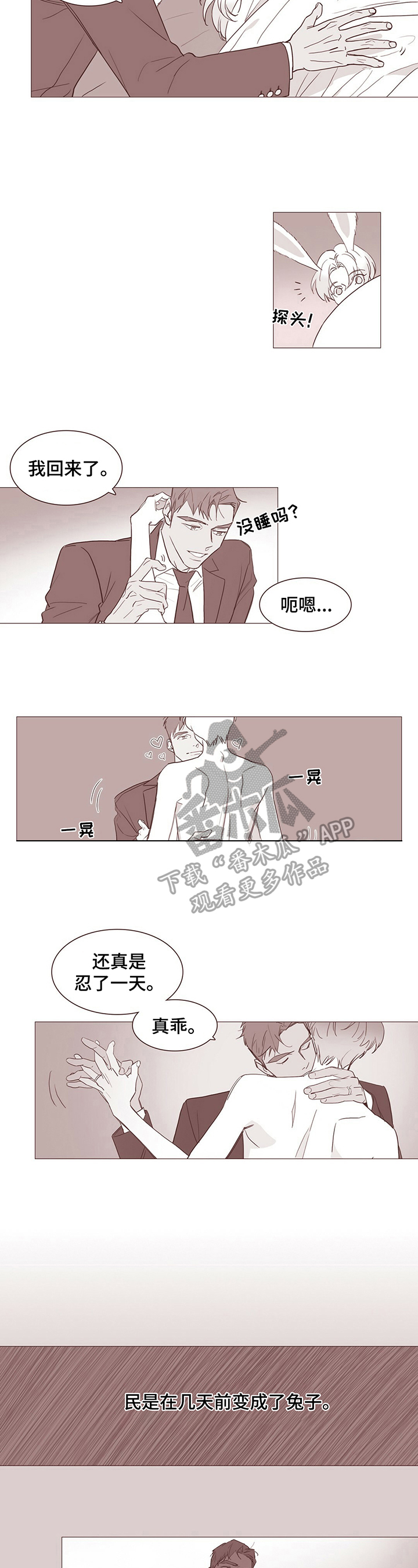 第13章：【番外】变成兔子1