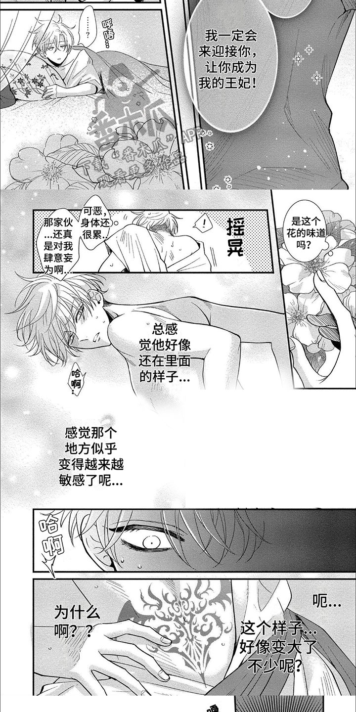 第7章：初遇4