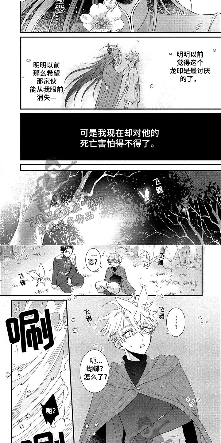 第16章：森林贤者3