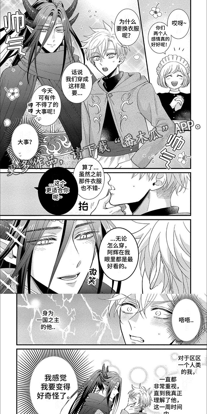 第14章：诅咒0