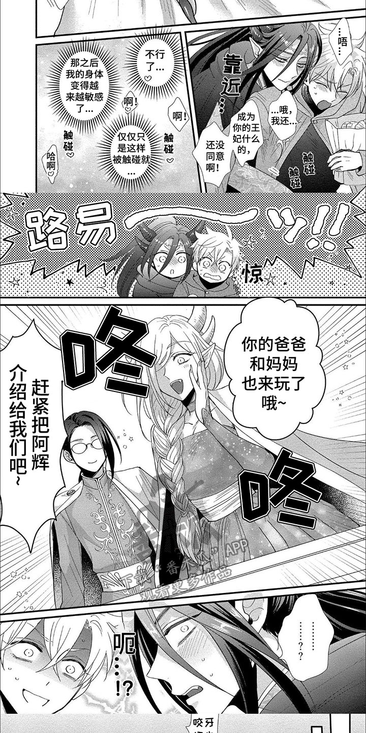第14章：诅咒4