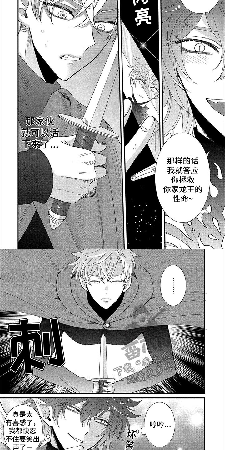 第17章：心脏3