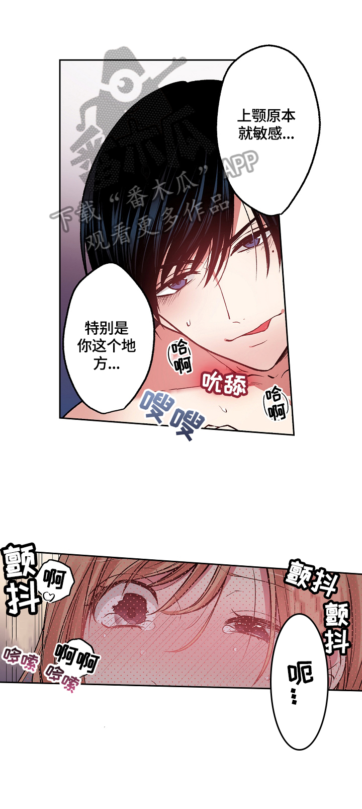 第11章：陌生人2