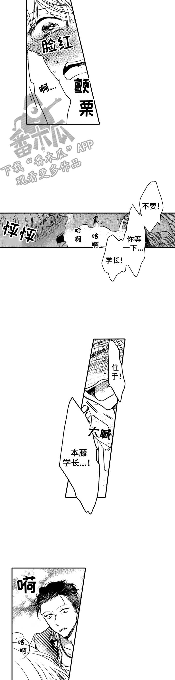 第5章：很可爱1