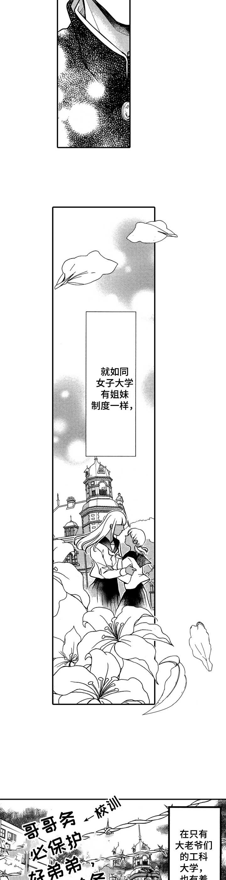 第1章：兄弟制度1