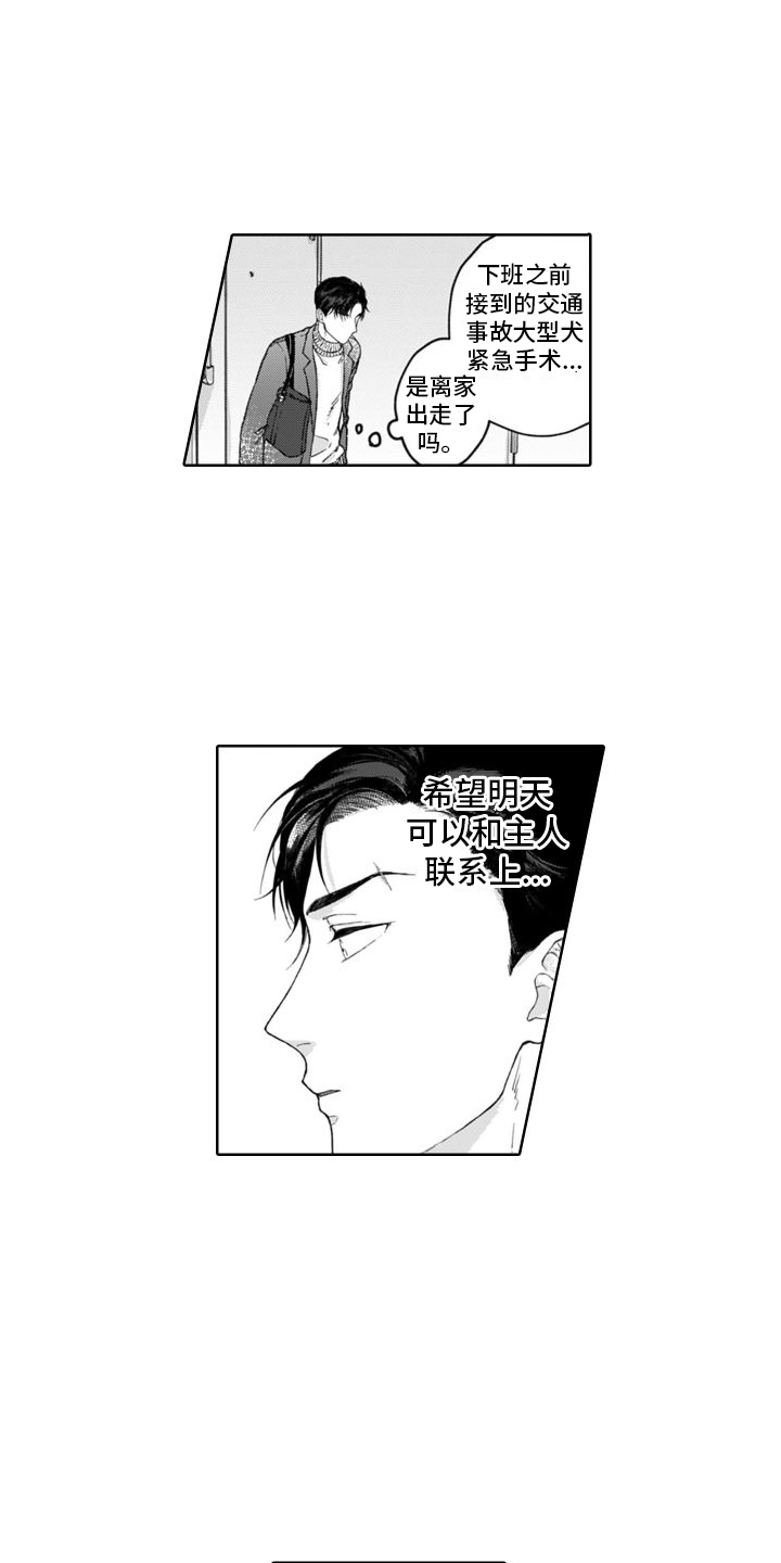 第1章：捡回家2