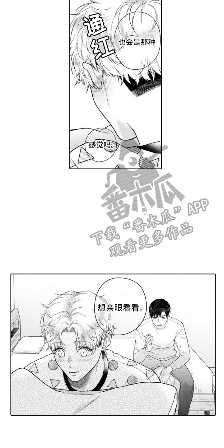 第50章：麻烦的猫咪（完结）1