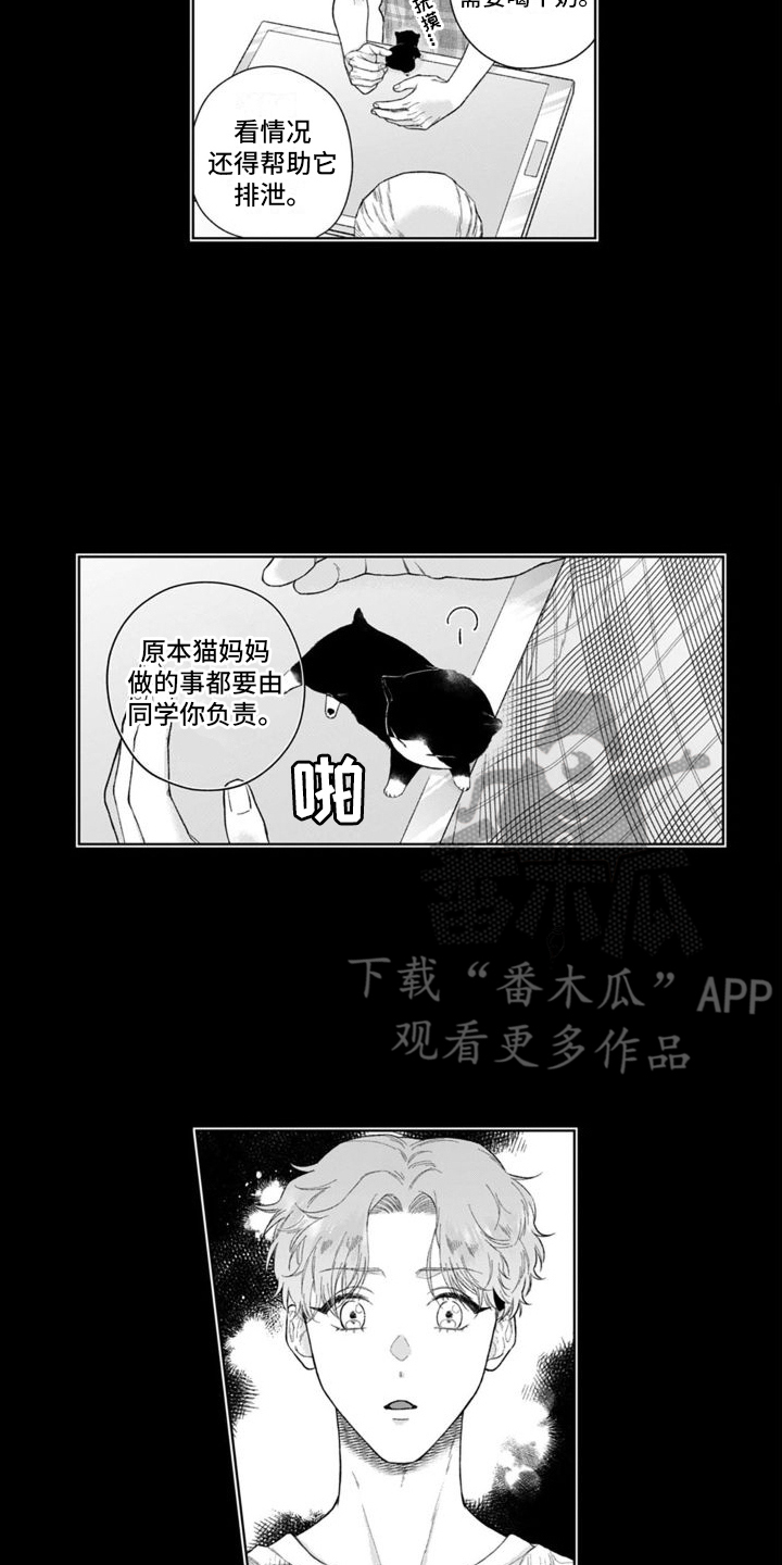 第46章：付出努力1