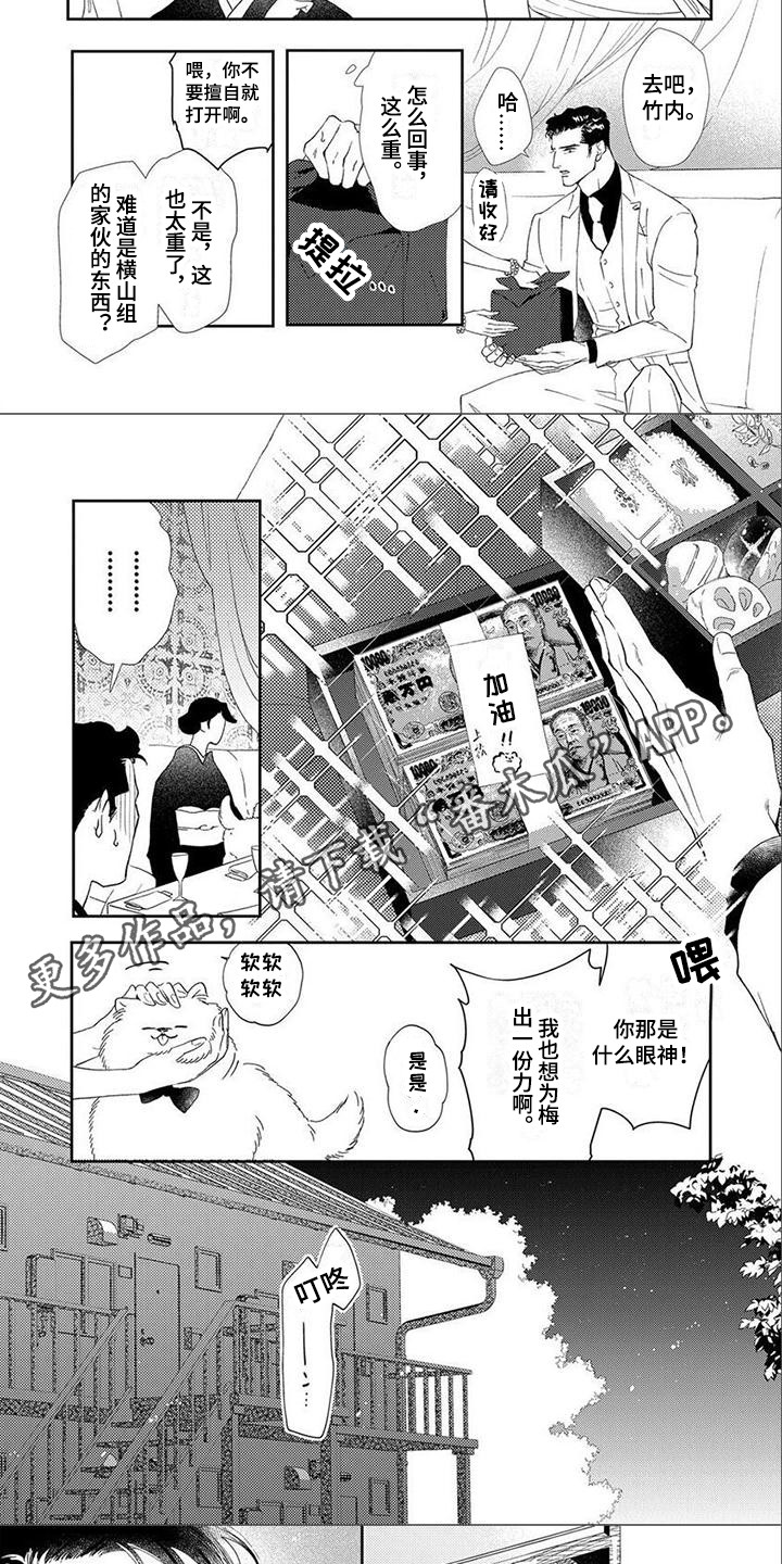 第11章：证明自己4