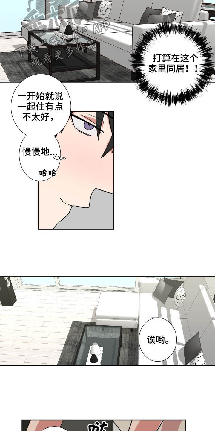 第51章：另有主意1