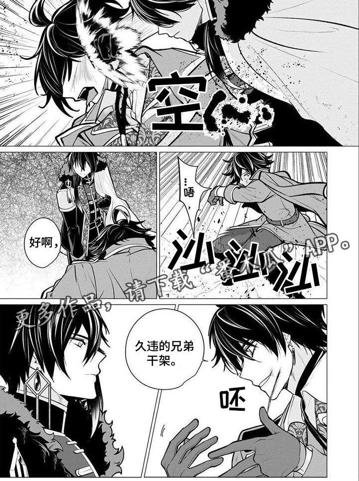 第15章：兄弟干架4