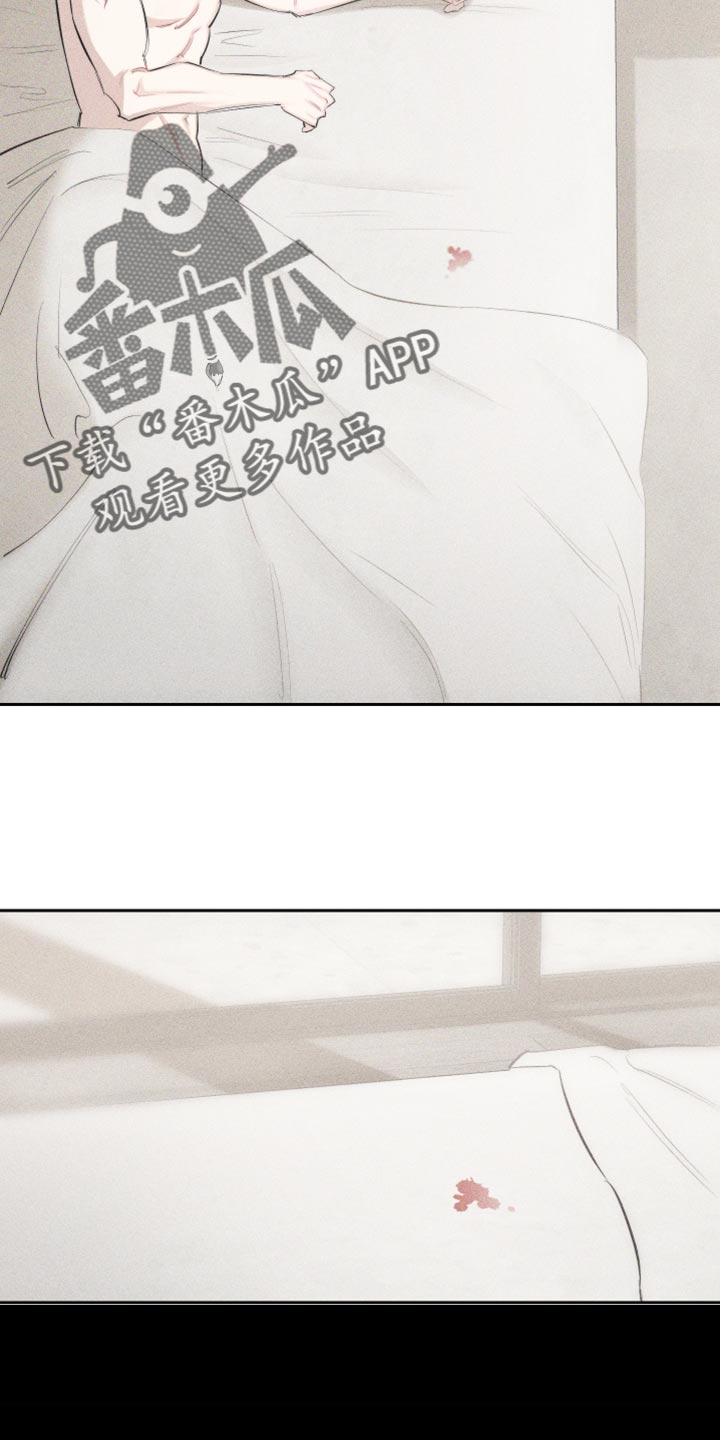 第17章：我更想要1