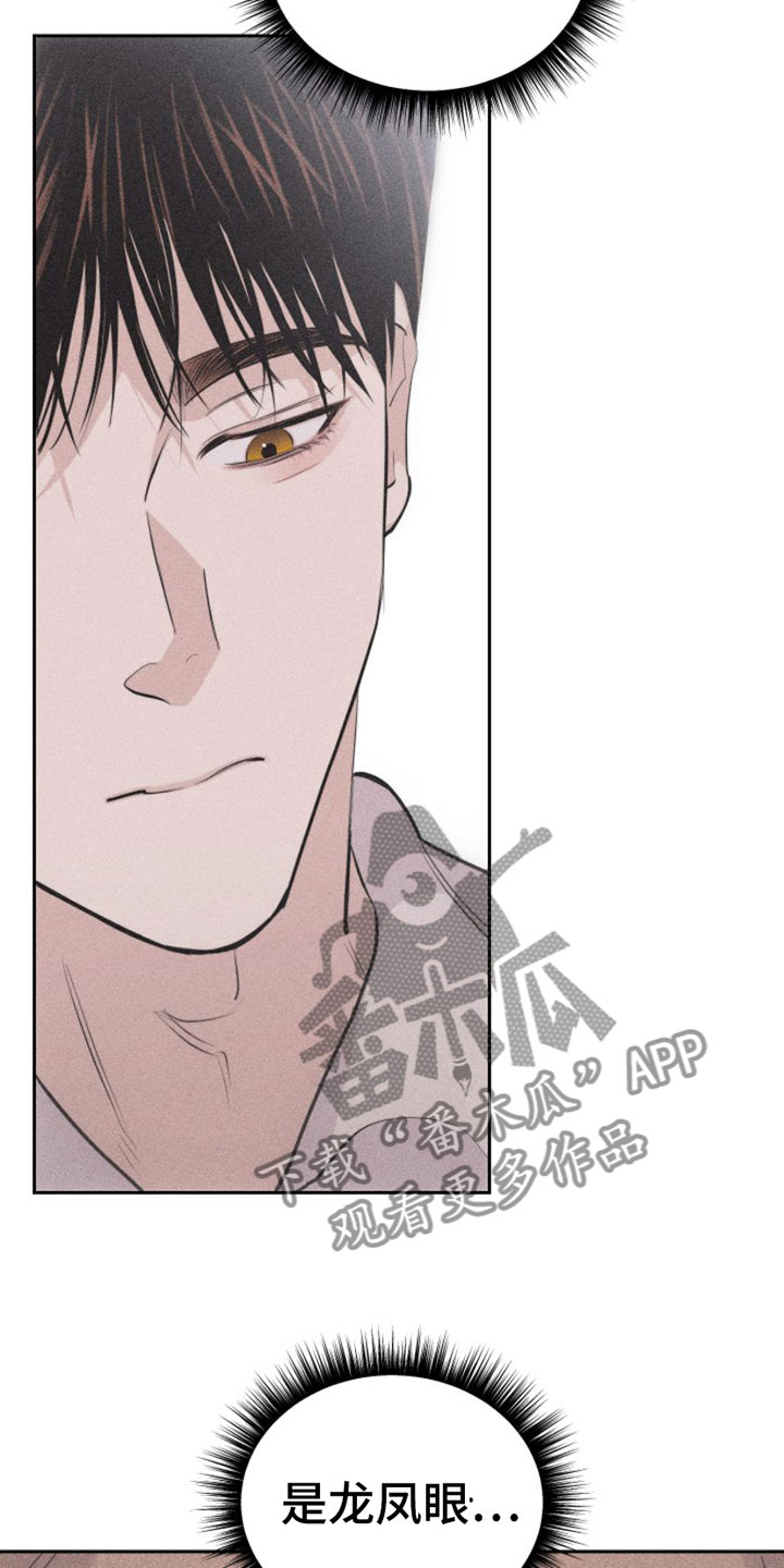 第10章：主题为爱3