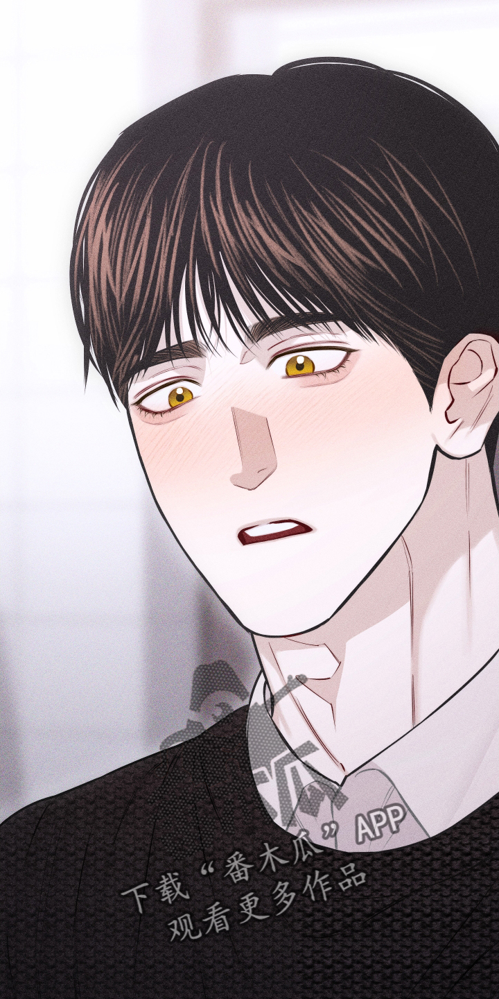 第53章：谢谢你【第一季完结】3