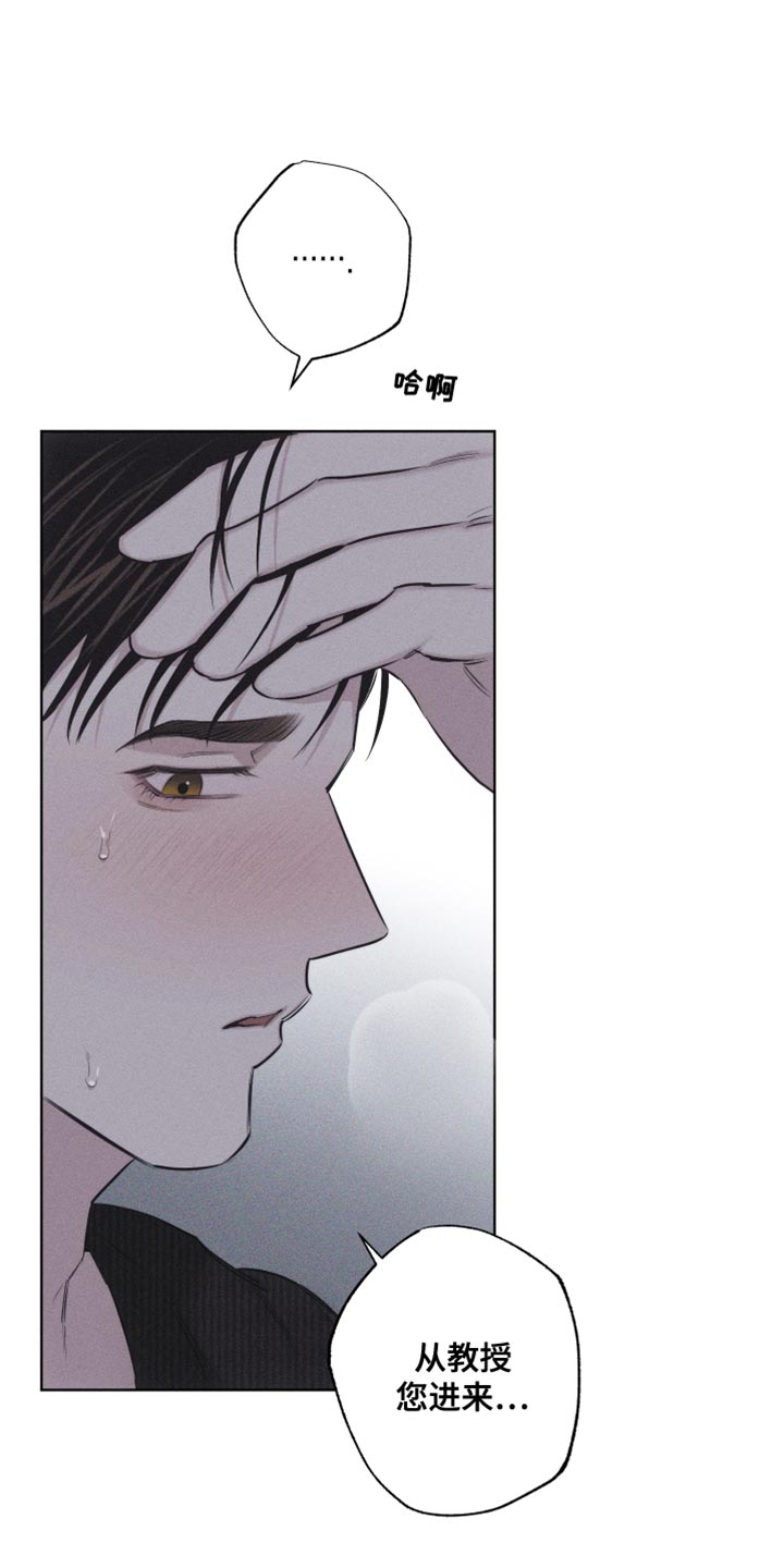 第22章：您为什么喜欢我？0