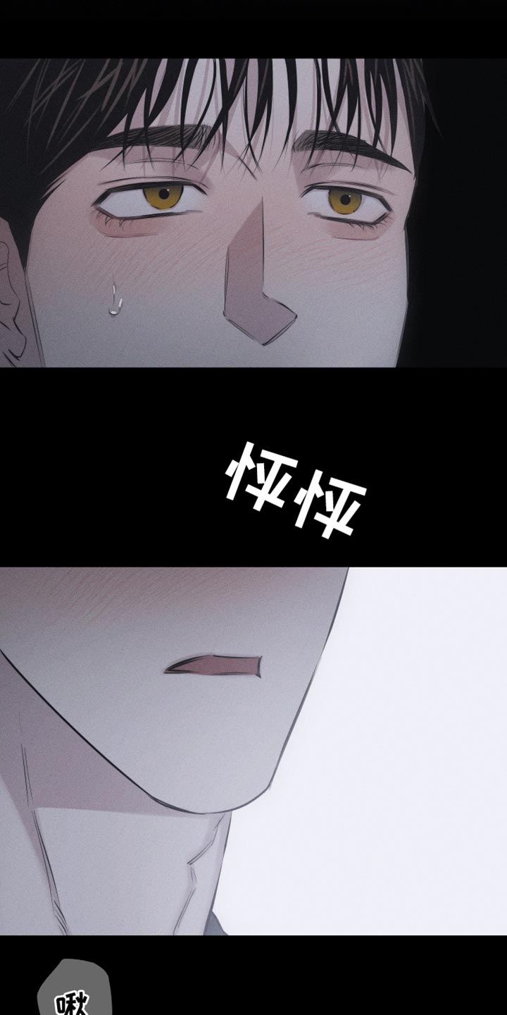 第16章：特殊形态2