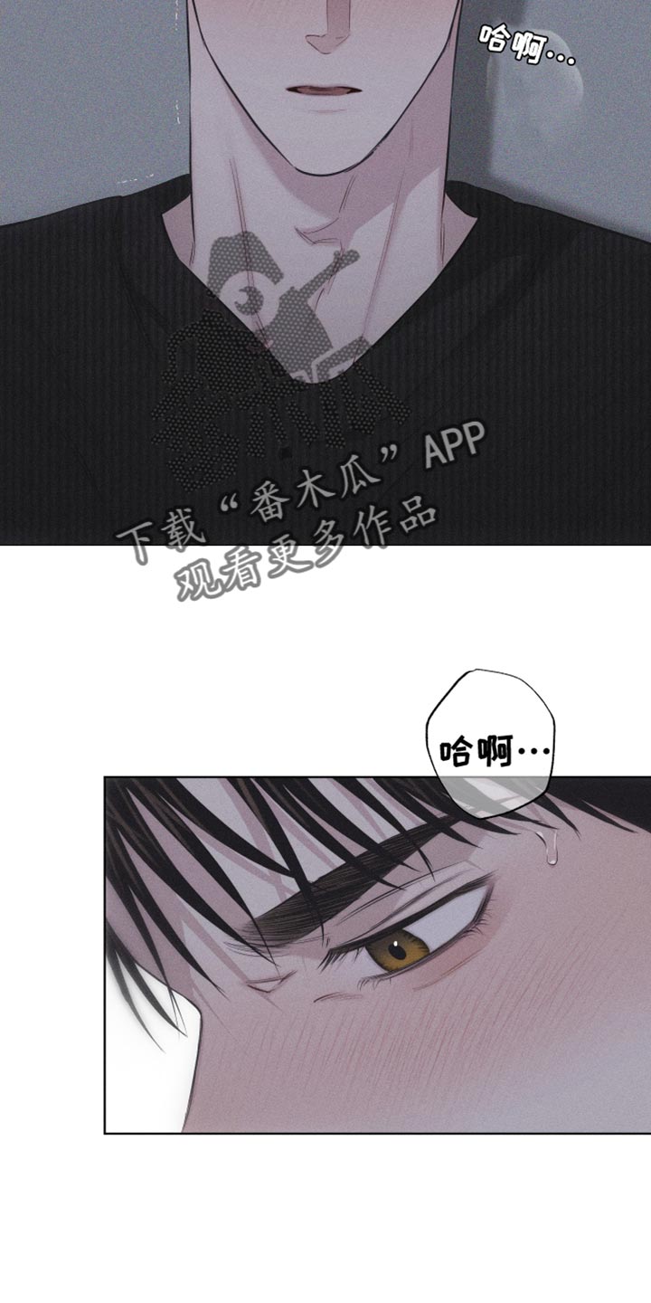 第22章：您为什么喜欢我？2