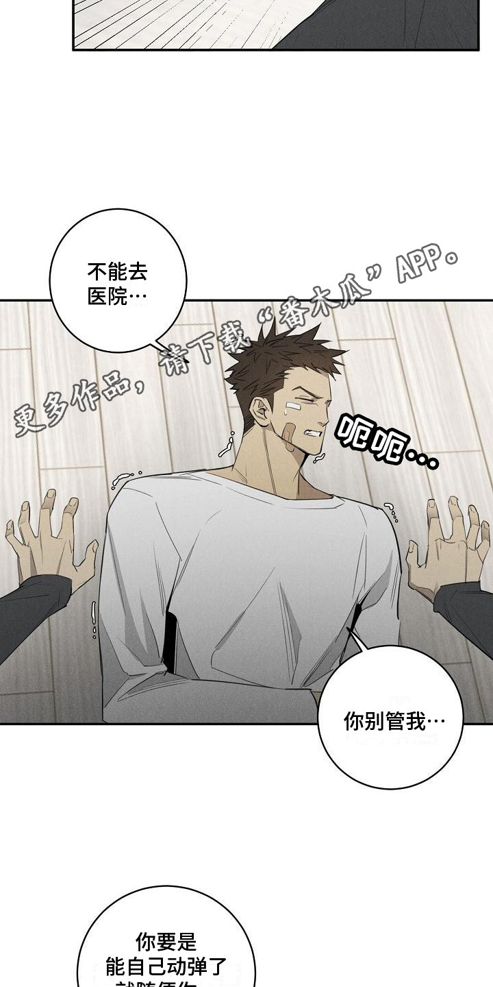 第6章：宠物医院4